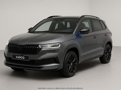 Usata Skoda Karoq SportLine 150 CV (110 kW) 2024 Grigio SUV