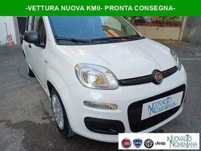 Usata Fiat Panda
