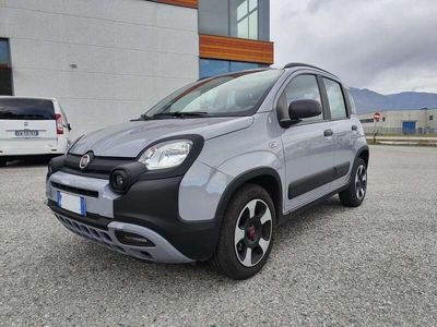 Usata Fiat Panda Cross Cross 69 CV (50 kW) 2021 Grigio Utilitaria