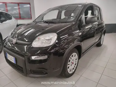 Usata Fiat Panda Easy 69 CV (50 kW) 2023 Nero Utilitaria