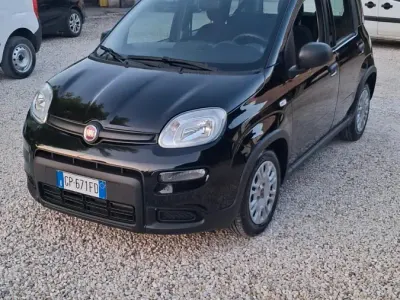 Usata Fiat Panda