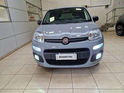 Usata Fiat Panda Easy 69 CV (50 kW) 2020 Grigio Utilitaria