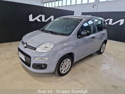 usata Fiat Panda 1.2 Easy