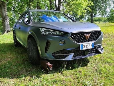 Usata Cupra Formentor 204 CV (150 kW) 2023 Grigio SUV