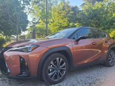 Usata Lexus UX 300h 152 CV (111 kW) 2024 Bronzo SUV