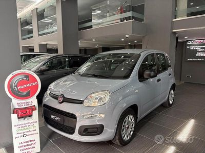 Usata Fiat Panda Easy 69 CV (50 kW) 2018 Grigio Utilitaria