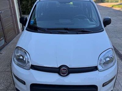 Usata Fiat Panda S 69 CV (50 kW) 2024 Bianco Utilitaria