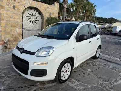 Usata Fiat Panda Lounge 95 CV (69 kW) 2016 Bianco Utilitaria