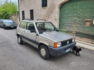 Usata Fiat Panda 54 CV (39 kW) 2002 Grigio Utilitaria