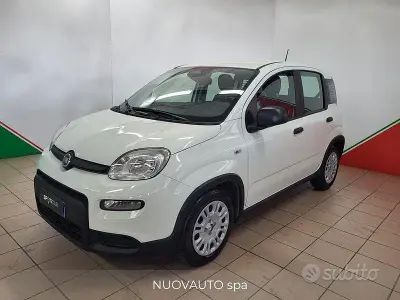 Usata Fiat Panda S 70 CV (51 kW) 2024 Bianco Utilitaria