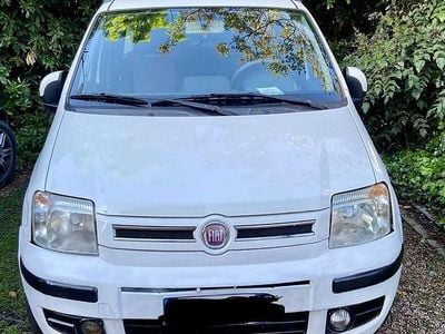 Usata Fiat Panda 69 CV (50 kW) 2010 Bianco Utilitaria