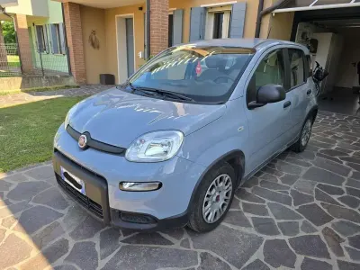 Usata Fiat Panda City Life 69 CV (50 kW) 2023 Utilitaria