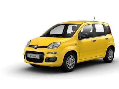 Nuova Fiat Panda 69 CV (50 kW) 2026 Giallo Berlina