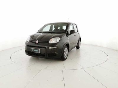 usata Fiat Panda 1.0 firefly hybrid s&s 70cv