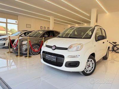 Usata Fiat Panda Easy 69 CV (50 kW) 2013 Bianco Utilitaria