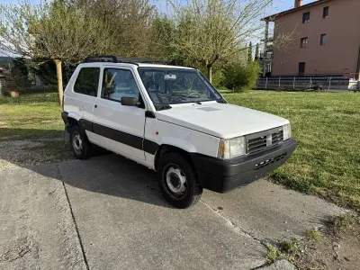 Usata Fiat Panda 4x4 Climbing 54 CV (39 kW) 2003 Utilitaria