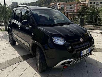 Usata Fiat Panda 4x4 S 86 CV (63 kW) 2019 Utilitaria