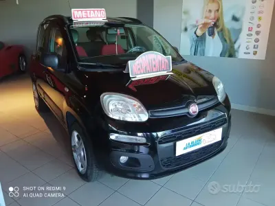 Usata Fiat Panda Lounge 69 CV (50 kW) 2013 Nero Utilitaria