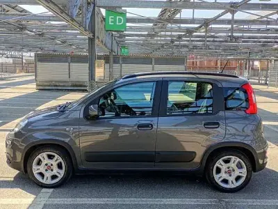 Usata Fiat Panda City Life 69 CV (50 kW) 2022 Utilitaria