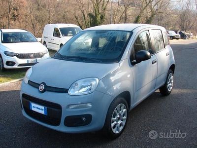 Usata Fiat Panda Easy 86 CV (63 kW) 2019 Grigio Utilitaria