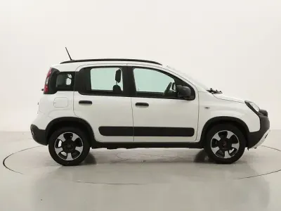 Usata Fiat Panda Cross Cross 69 CV (50 kW) 2020 Utilitaria