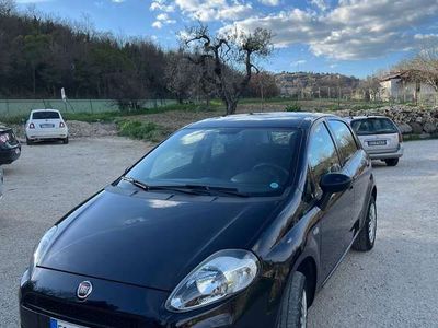 usata Fiat Punto 5p 1.4 natural power Lounge 70cv E6