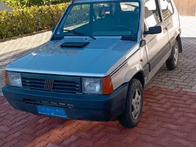 Usata Fiat Panda 4x4 54 CV (39 kW) 2002 Grigio Utilitaria
