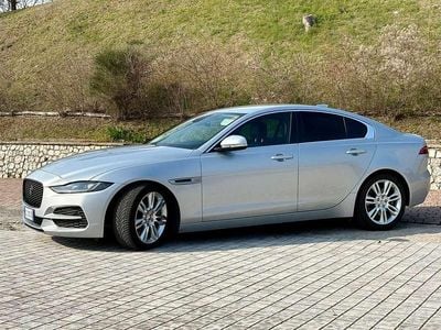 Usata Jaguar XE SE 250 CV (183 kW) 2023 Argento Berlina