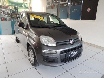 Usata Fiat Panda Easy 69 CV (50 kW) 2017 Grigio Utilitaria