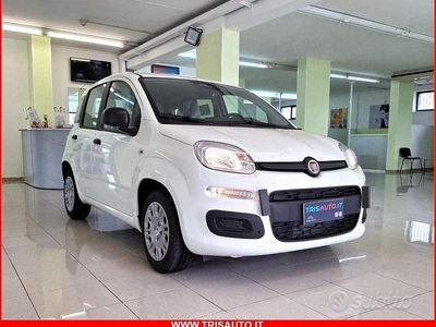 Usata Fiat Panda S 70 CV (51 kW) 2024 Bianco Utilitaria
