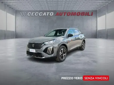 Usata Peugeot e-2008