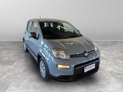Usata Fiat Panda Red 70 CV (51 kW) 2023 Grigio Utilitaria