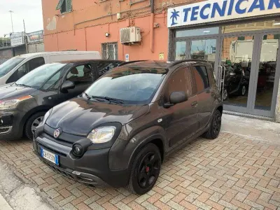 Usata Fiat Panda Cross Cross 69 CV (50 kW) 2020 Grigio Utilitaria