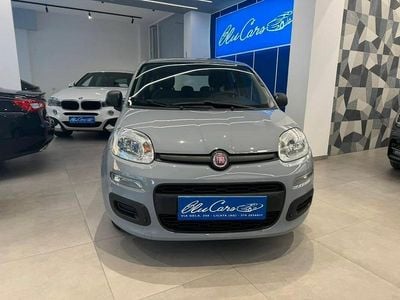 Usata Fiat Panda S 70 CV (51 kW) 2022 Grigio Utilitaria