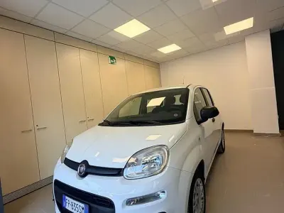 Usata Fiat Panda Easy 69 CV (50 kW) 2018 Bianco Utilitaria