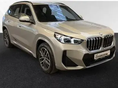 Usata BMW X1