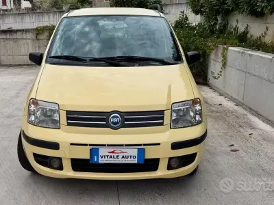 Usata Fiat Panda Dynamic 69 CV (50 kW) 2007 Giallo Utilitaria