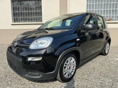 Usata Fiat Panda