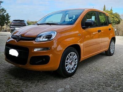 Usata Fiat Panda 2021 Utilitaria