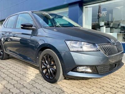 usata Skoda Fabia 1.0 MPI 60 CV Twin Color Nero