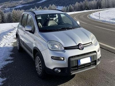 Usata Fiat Panda 4x4 75 CV (55 kW) 2015 Grigio Utilitaria