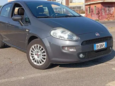 Usata Fiat Punto Easy 75 CV (55 kW) 2014 Grigio Utilitaria