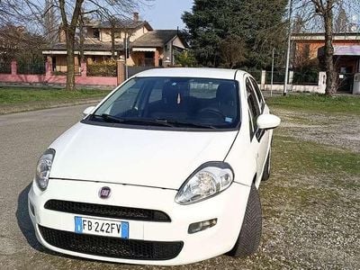 Usata Fiat Punto Evo Lounge 69 CV (50 kW) 2015 Utilitaria