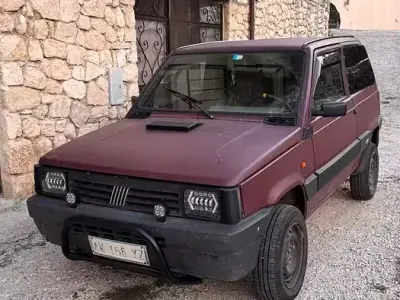 Usata Fiat Panda 4x4