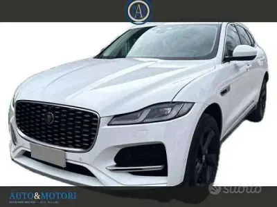 Usata Jaguar F-Pace R-Dynamic 204 CV (150 kW) 2023 Bianco SUV