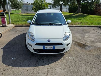 usata Fiat Punto Punto 1.3 MJT II S&S 85 CV 5 porte ECO Street