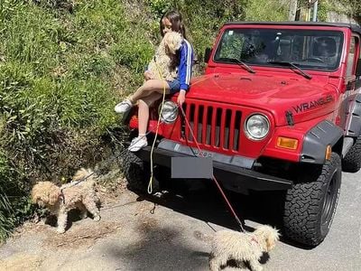 Usado Jeep Wrangler 177 HP (130 kW) 2001 Vermelho SUV