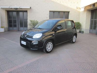 Usata Fiat Panda Easy 69 CV (50 kW) 2023 Nero Utilitaria