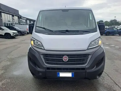 Usata Fiat Ducato 120 CV (88 kW) 2020 Bianco Furgone