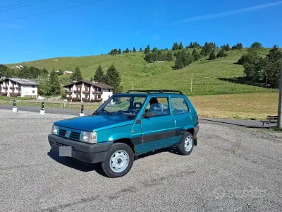 Usata Fiat Panda 4x4 Club 54 CV (39 kW) 1996 Verde Utilitaria